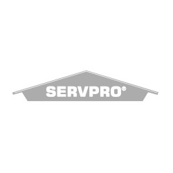 Servepro logo